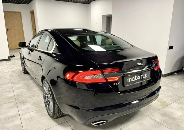 Jaguar XF cena 57900 przebieg: 106000, rok produkcji 2012 z Suchedniów małe 631